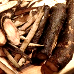 burdock root